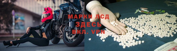 трава Верея