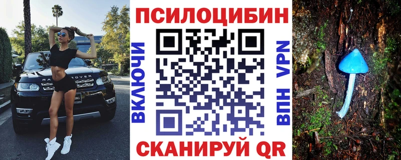 купить  сайты  Ковылкино  Псилоцибиновые грибы мухоморы 